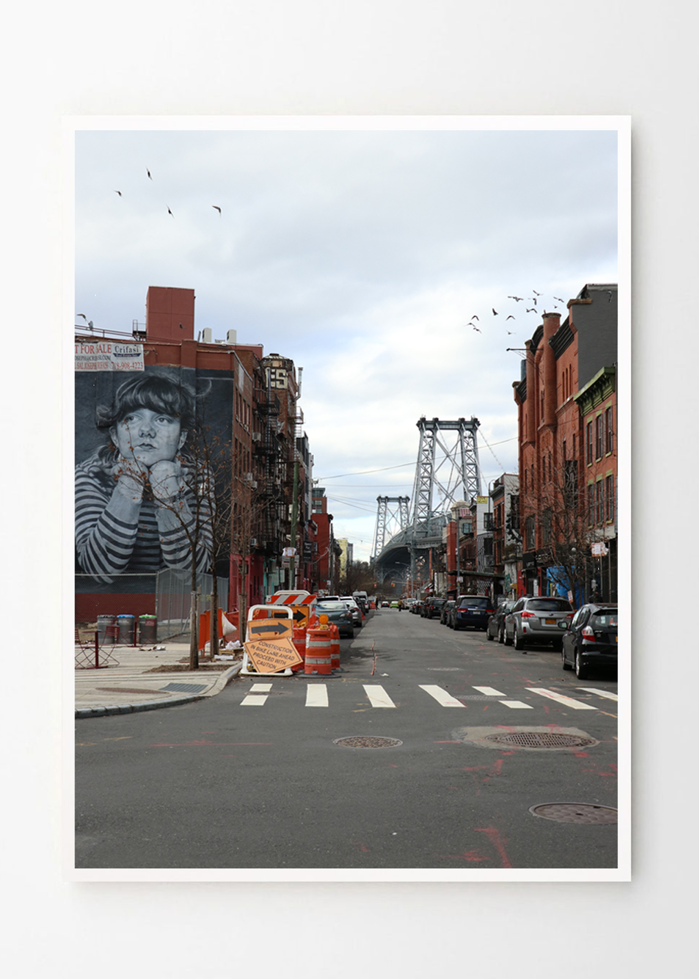 גרפיטי וציפורים בברוקלין