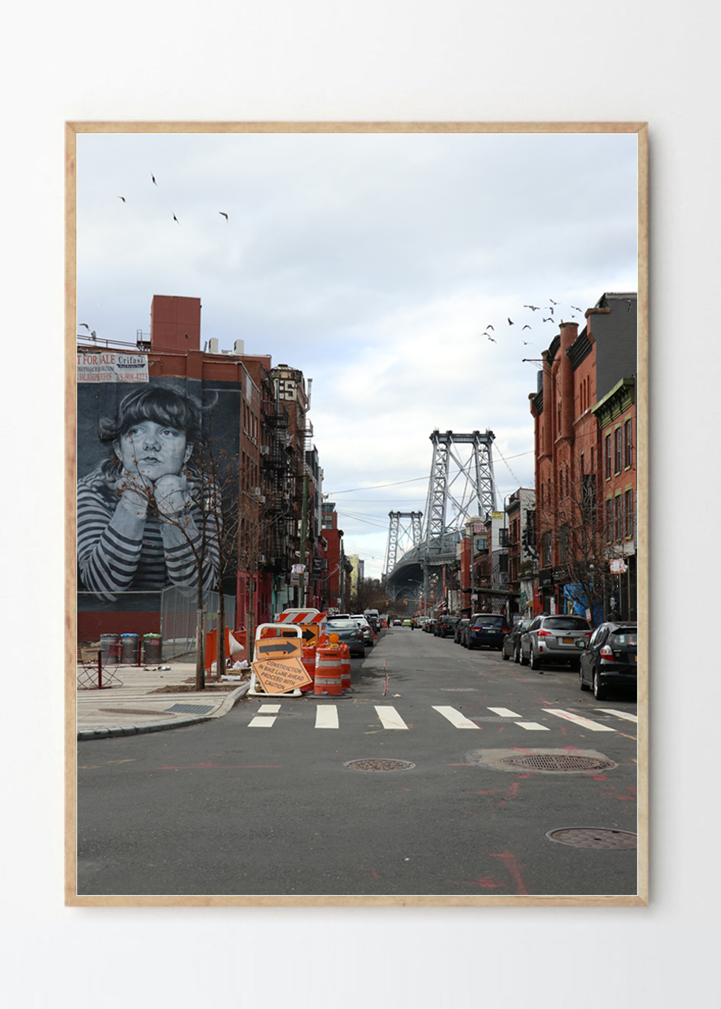 גרפיטי וציפורים בברוקלין