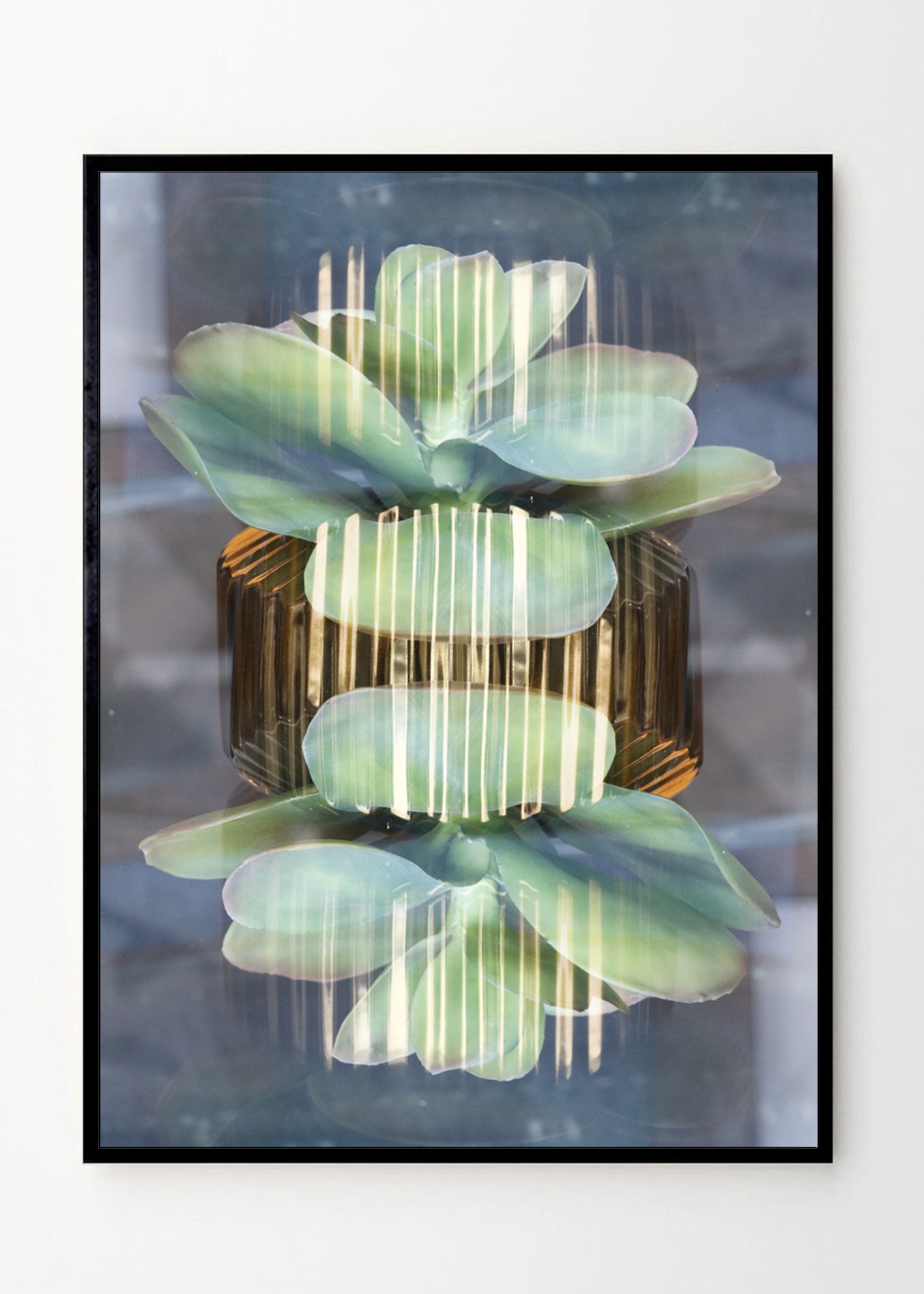 Green Plant Green Plant